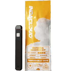 box vapes disposable RIZN Color Box Blue Raspberry Lemonade Rechargeable Vape