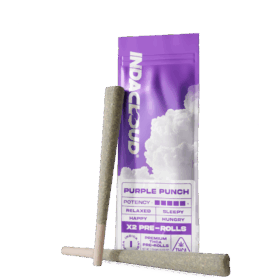 Purple-Punch-THCA-Pre-Rolls-2x