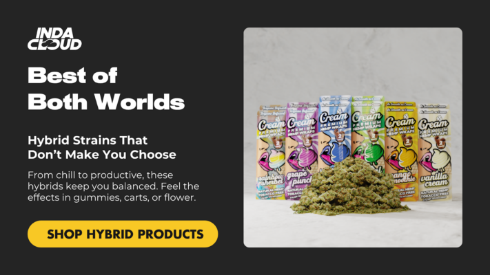 Delta 8 Vs. Delta 9: Which One Fits Your Vibe Better? 3 Indacloud Hybrid Strains – Experience Delta 8 Vs. Delta 9 Gummies