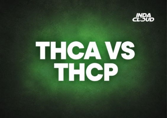 THCA vs THCP: Potency, Effects & What You’re Actually Buying