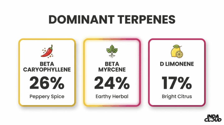 Alien Og Strain: Info, Effects, And Growing Tips 2 Alien Og Dominant Terpene Profile Showing Beta Caryophyllene 26 Percent, Beta Myrcene 24 Percent, And D Limonene 17 Percent