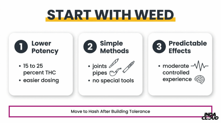 Beginner Guide Recommending Starting With Weed First Due To Lower Potency, Simple Methods, And More Predictable Effects
