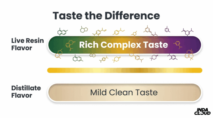 Live Resin Vs Distillate Cart: Which Is Best? 3 Flavor Profile Comparison Showing Live Resin With Rich Complex Taste And Distillate With Mild Clean Taste
