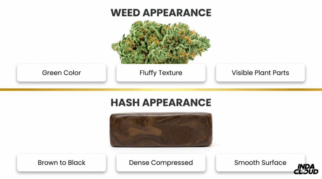 Hash Vs Weed: Key Differences Explained
