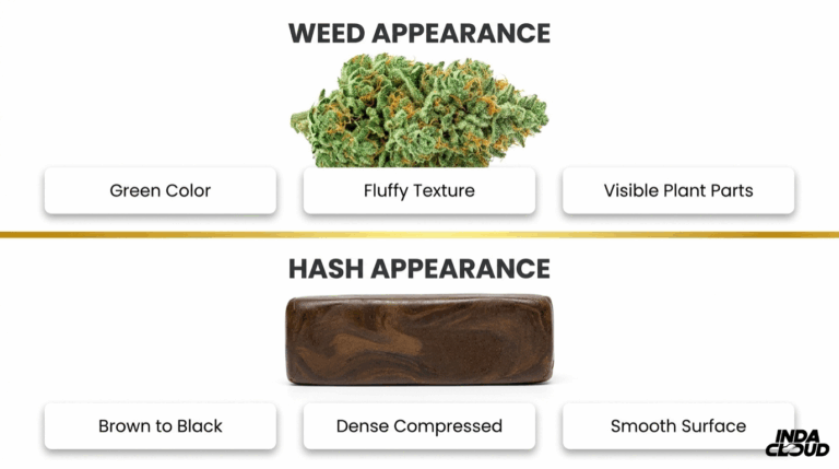 Hash Vs Weed: Key Differences Explained