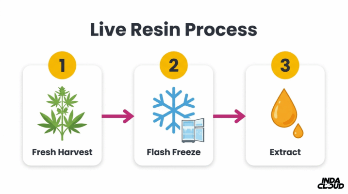 Live Resin Vs Distillate Cart: Which Is Best? 1 Live Resin Extraction Process Showing Fresh Harvest, Flash Freeze, And Extract Steps To Preserve Terpene Profile