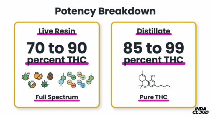 Live Resin Vs Distillate Cart: Which Is Best? 2 Thc Potency Comparison Chart Showing Live Resin At 70 To 90 Percent Thc With Full Spectrum Effects And Distillate At 85 To 99 Percent Thc With Pure Thc