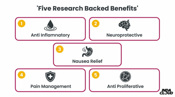 Five Research Backed Thca Benefits Including Anti Inflammatory, Neuroprotective, Nausea Relief, Pain Management, And Anti Proliferative Properties
