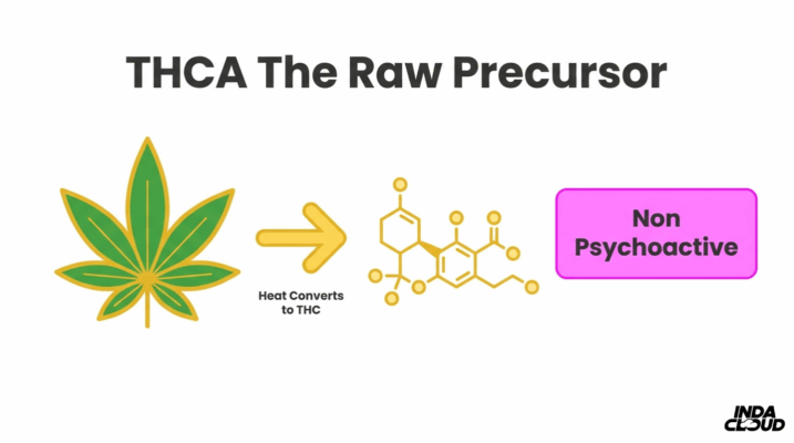 Understanding THCA: Benefits, Uses, & Legality