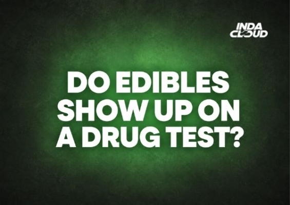 Do Edibles Show Up on a Drug Test?