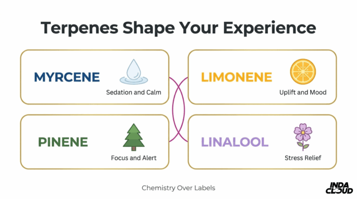 Four Key Thca Benefits Including Anti Inflammatory Support Nausea Relief Neuroprotection And Antioxidant Activity For Wellness And Therapeutic Use