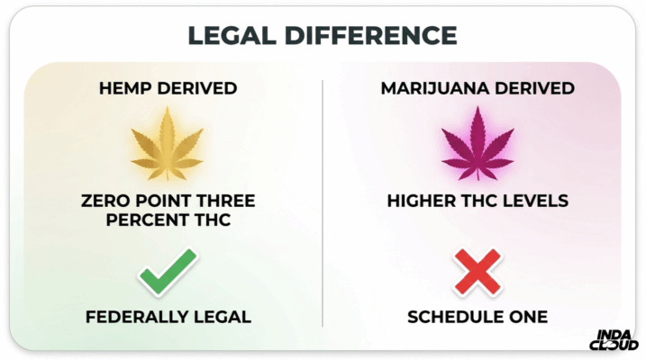 Infographic Comparing Legal Differences Between Hemp-Derived Thc And Marijuana-Derived Thc Products
