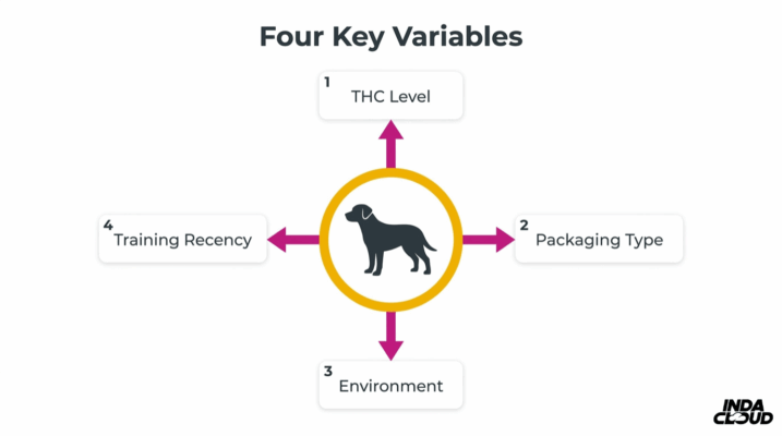 Four Key Variables Affecting Drug Dog Accuracy Including Thc Level Packaging Type Environment And Recent Training Exposure For Scent Detection