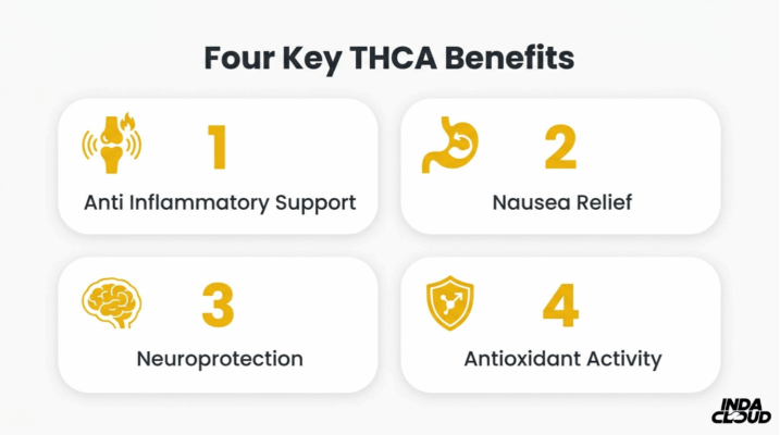 Four Key Thca Benefits Including Anti Inflammatory Support Nausea Relief Neuroprotection And Antioxidant Activity For Wellness And Therapeutic Use
