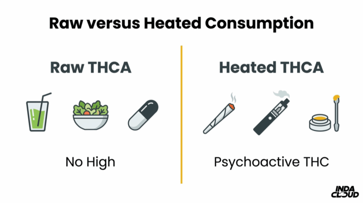 Raw Versus Heated Thca Consumption Comparison Showing Raw Thca Products With No High Effect Versus Heated Thca Methods Producing Psychoactive Thc