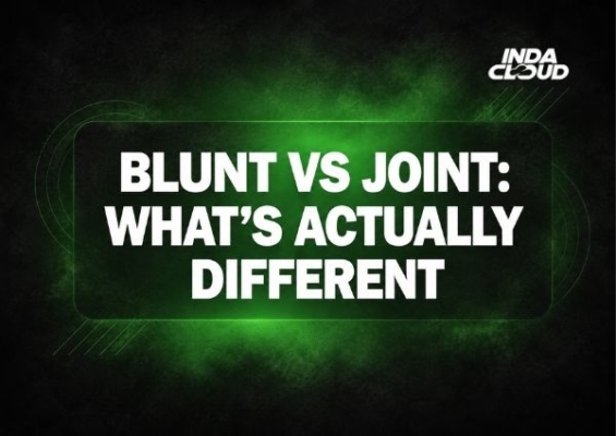 Blunt vs Joint: What’s Actually Different